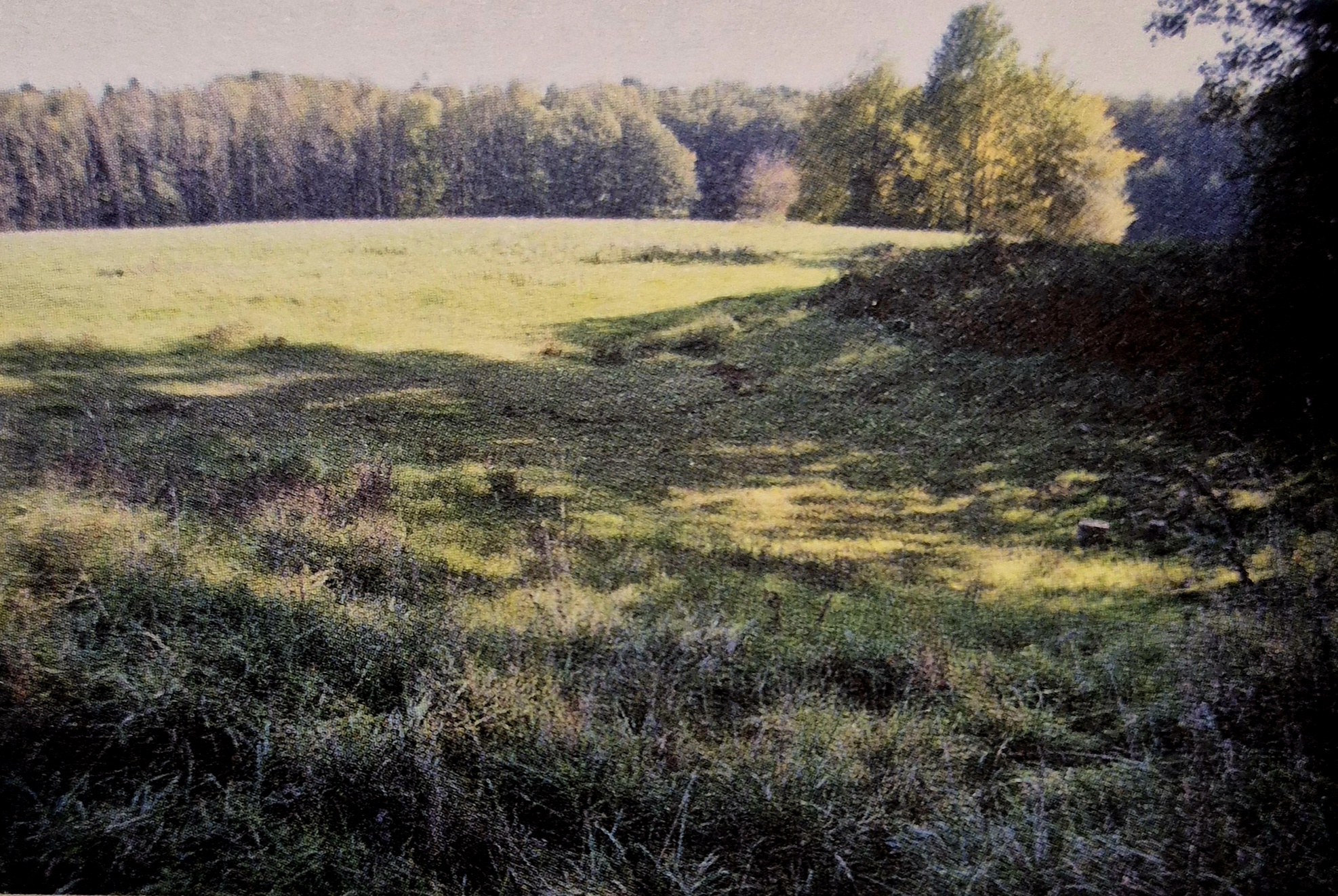 Exkursion ins Frauenholz